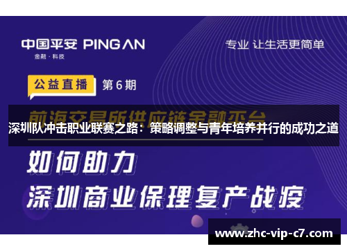深圳队冲击职业联赛之路：策略调整与青年培养并行的成功之道